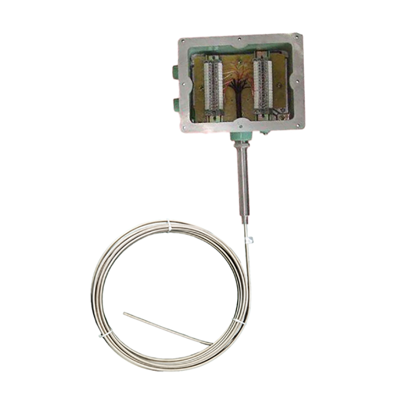 多點防爆熱電偶